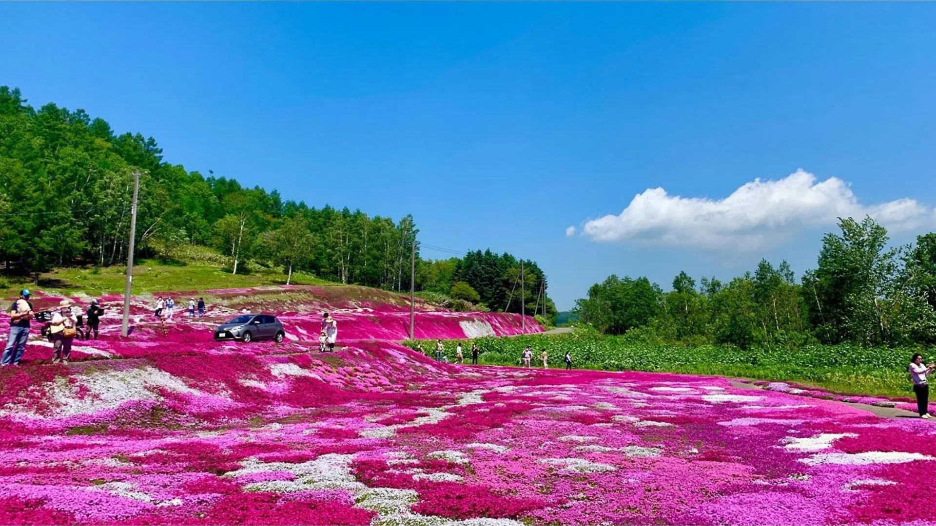 Skye Niseko - Vacation Stay 30728V
